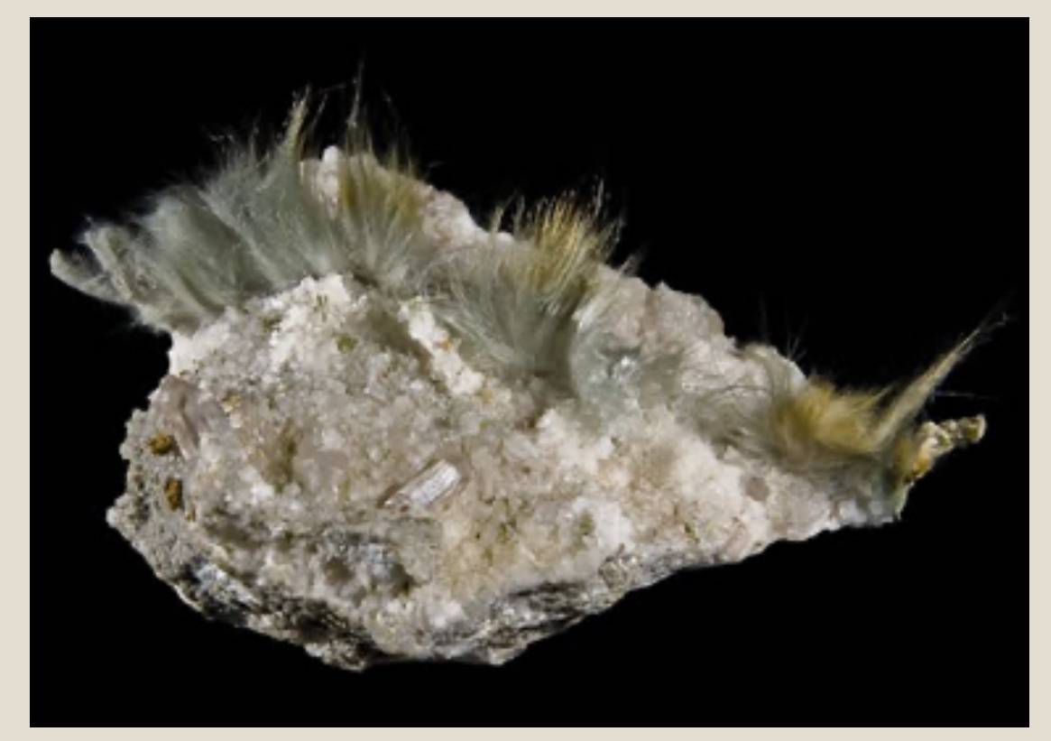 <p>Slender fibers, parallel or radiating</p>