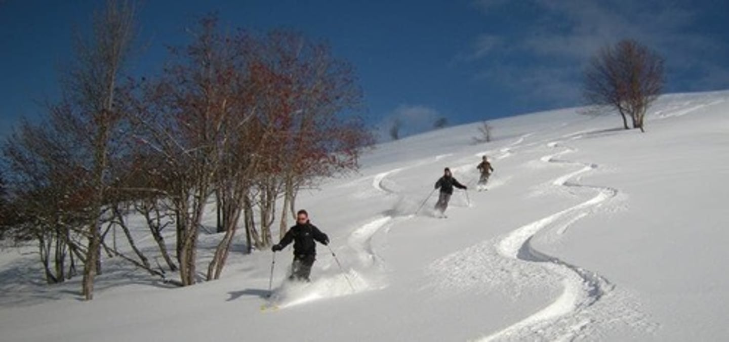 <p>to ski off-track, to backcountry ski</p>