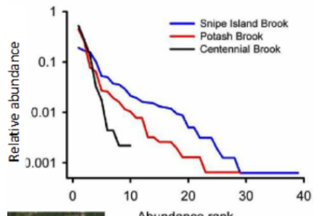 <p><span style="background-color: transparent;"><span>Which stream has the highest species richness? Eveness?</span></span></p>