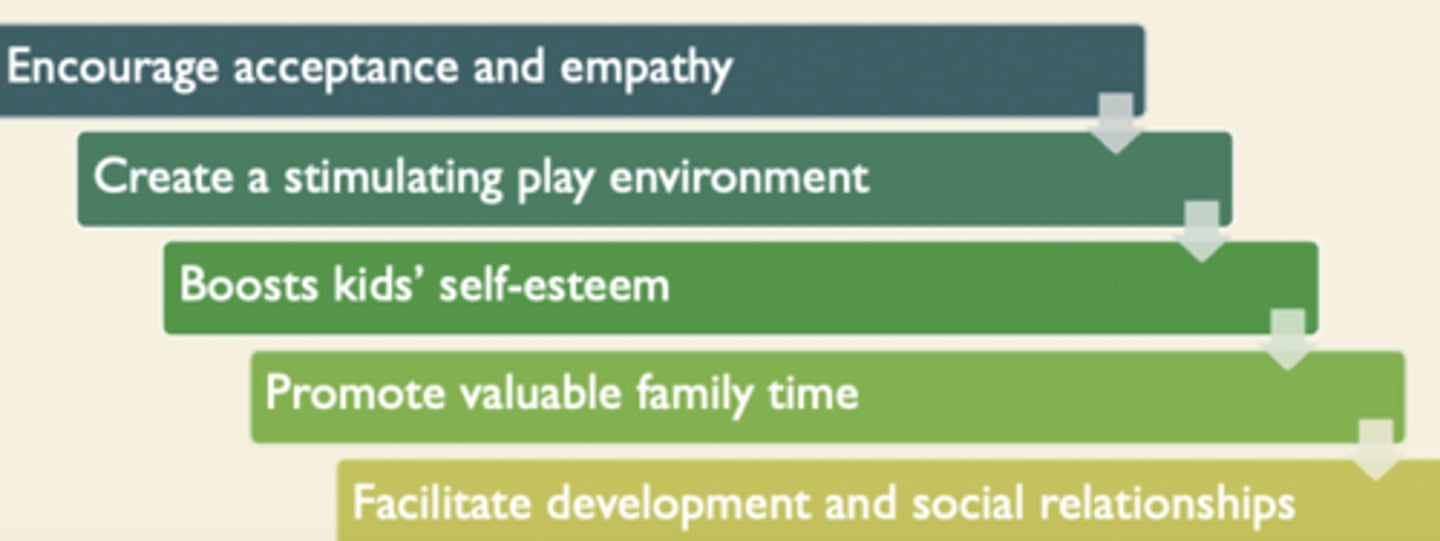 <p>inclusivity</p><p>accessibility</p><p>ramps</p><p>surface</p><p>seating</p><p>play components</p><p>play is a primary occupation of children, OTs are experts in environment evaluation and modification, as well as activity analysis</p>