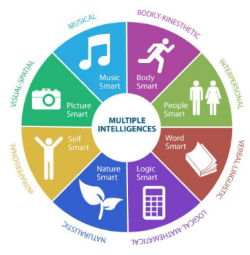 <p>Proposed the theory of multiple intelligences, suggesting that individuals have different strengths and weaknesses in various forms of intelligence.</p>