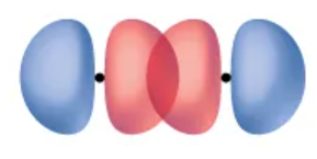 <p>(Also an illustration of the chlorine molecule having a σ bond) </p>