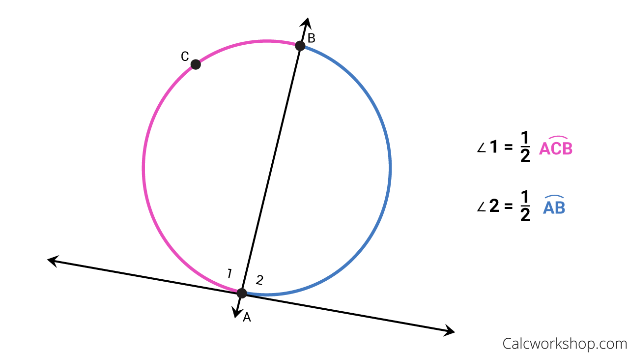 <p>the angle is half its arc</p><p></p>