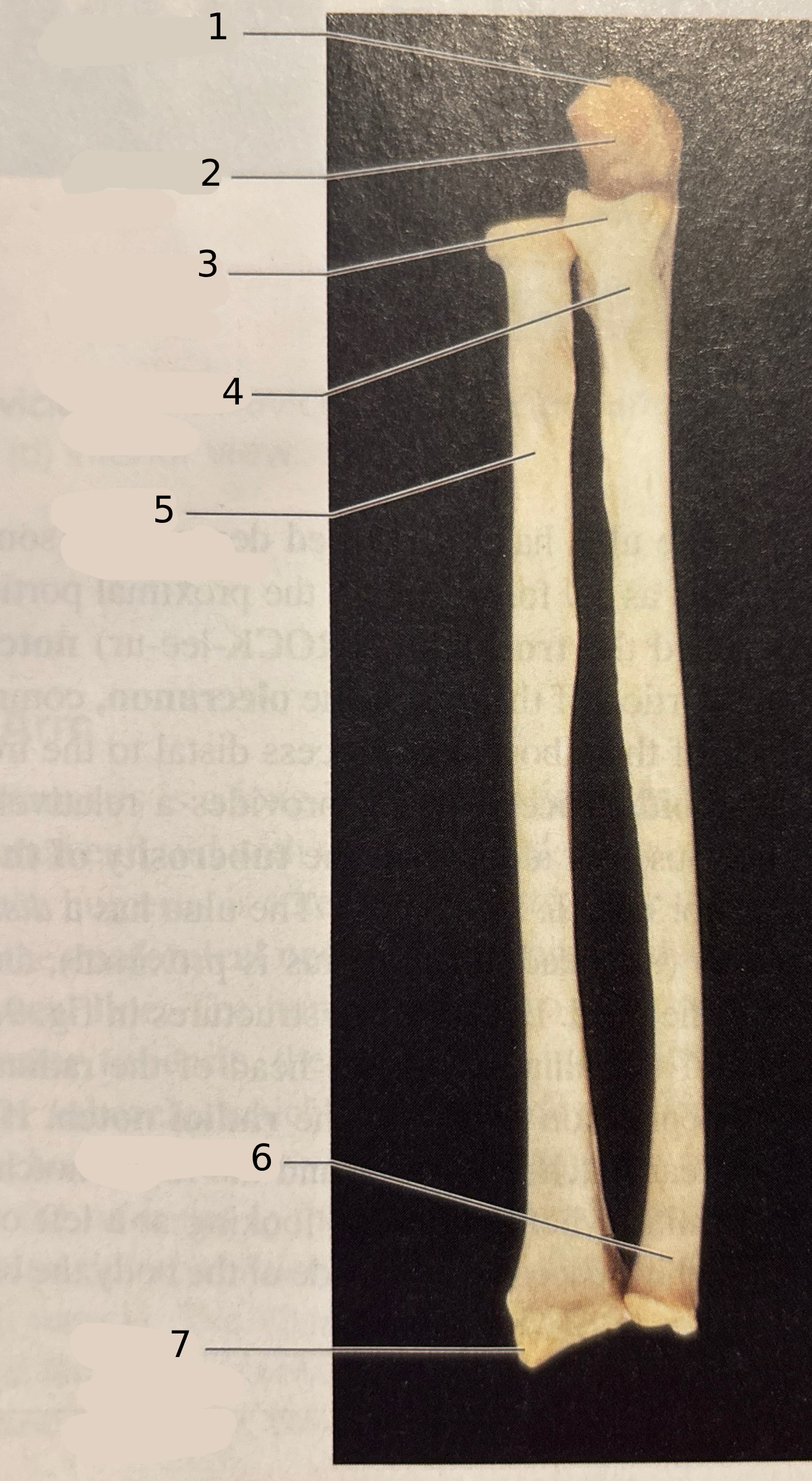 <p>#2</p>
