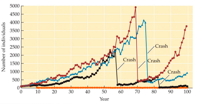 each line, or population trajectory, represents on simulation

\
* they all have crashes and then population increase