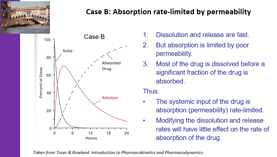 <p>When <strong>dissolution</strong> and <strong>release</strong> are fast, the drug is quickly available in the system, but <strong>absorption</strong> is limited by <strong>poor permeability</strong>, meaning the drug cannot be absorbed into the bloodstream efficiently, despite being dissolved.</p>