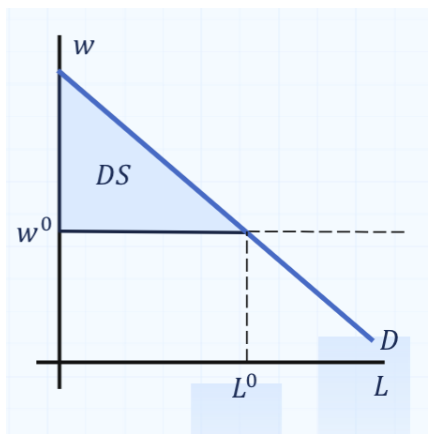 <p>Demanders surplus (DS) </p>
