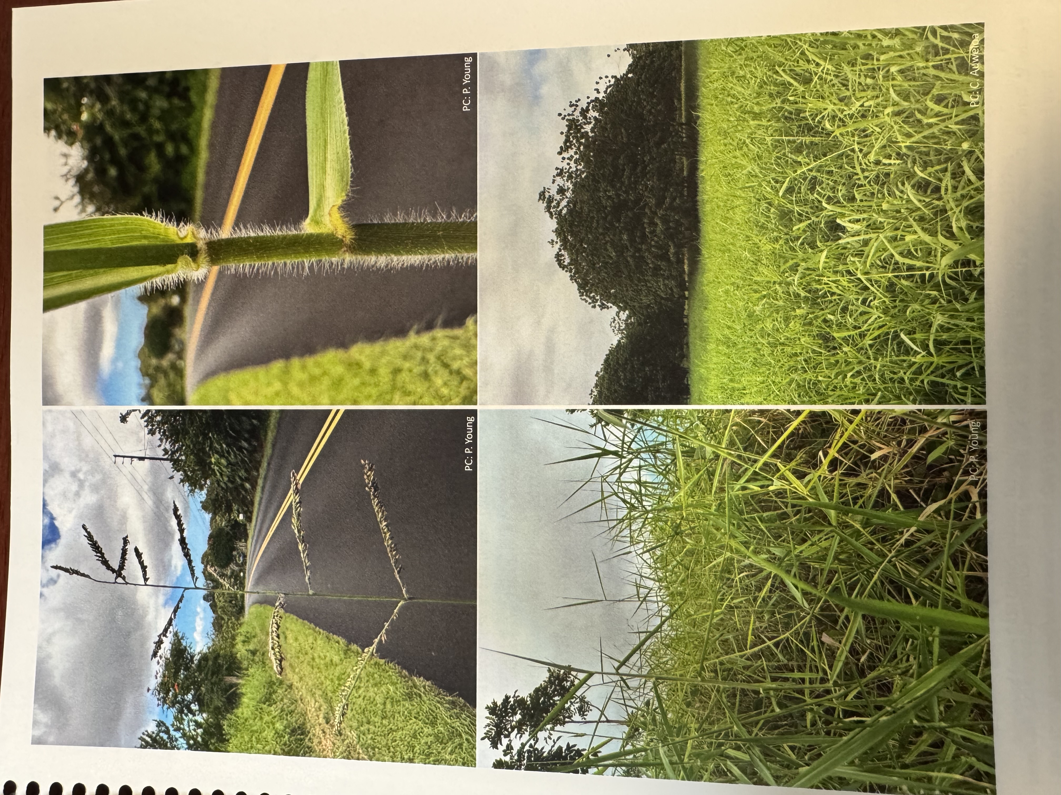 <img src="blob:null/e6940039-7fd5-4e70-b981-21c74b095a70"><p></p>