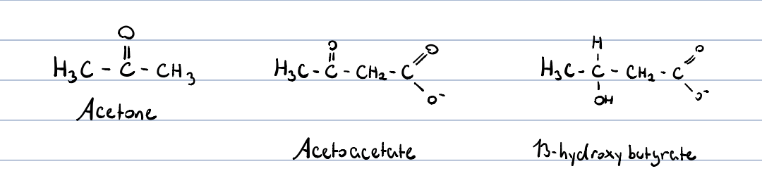 3 types of ketone bodies, where two can be utilized by our body for energy 

* acetone
* acetoacetate
* β-hydroxybutyrate