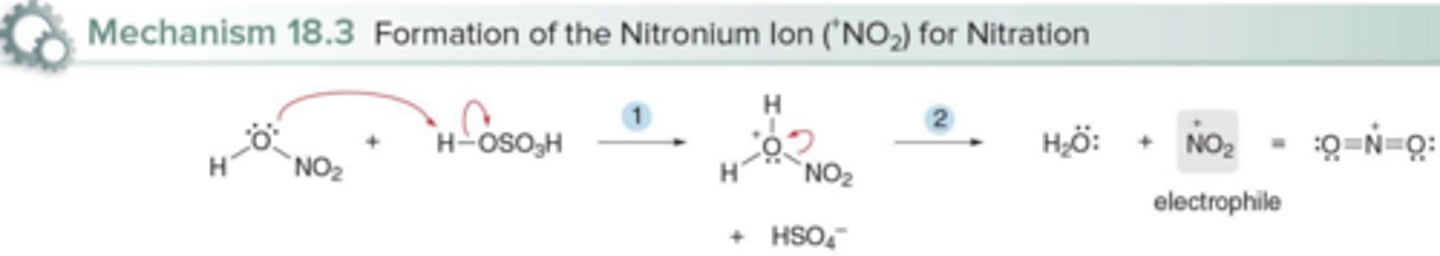 <p>The nitronium ion (NO₂⁺); Protonation of HNO<sub>3</sub> followed by dehydration</p>