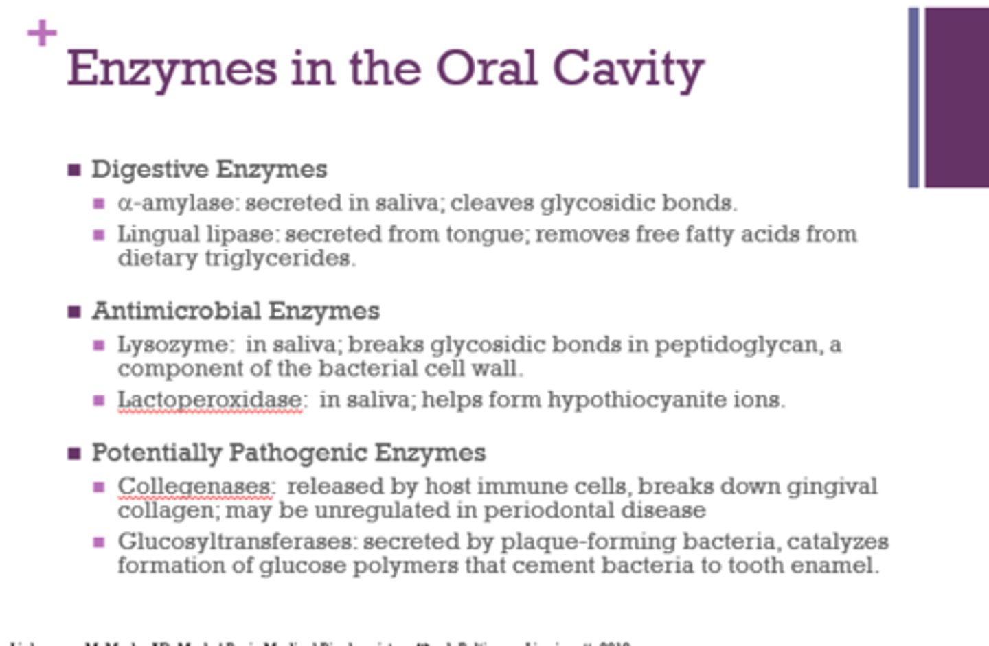 <p>- lysozyme (in saliva, breaks glycosidic bones in peptidoglycan)</p><p>- lactoperoxidase (in saliva, helps form hypothiocyanite ions)</p>