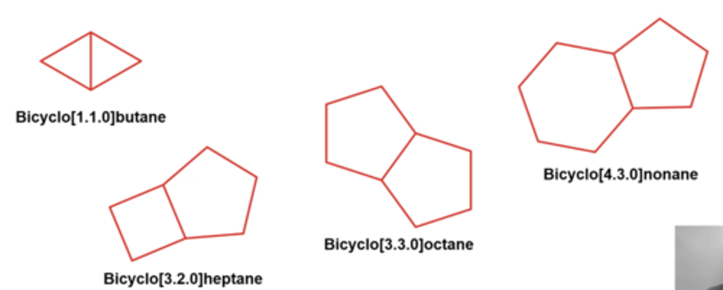 <p>bicyclic alkanes</p>