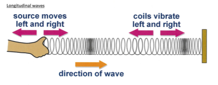 <p>Coils move left and right</p><p>Direction of wave is parallel </p><p><strong>Longitude waves: sound waves, seismic p waves</strong></p>