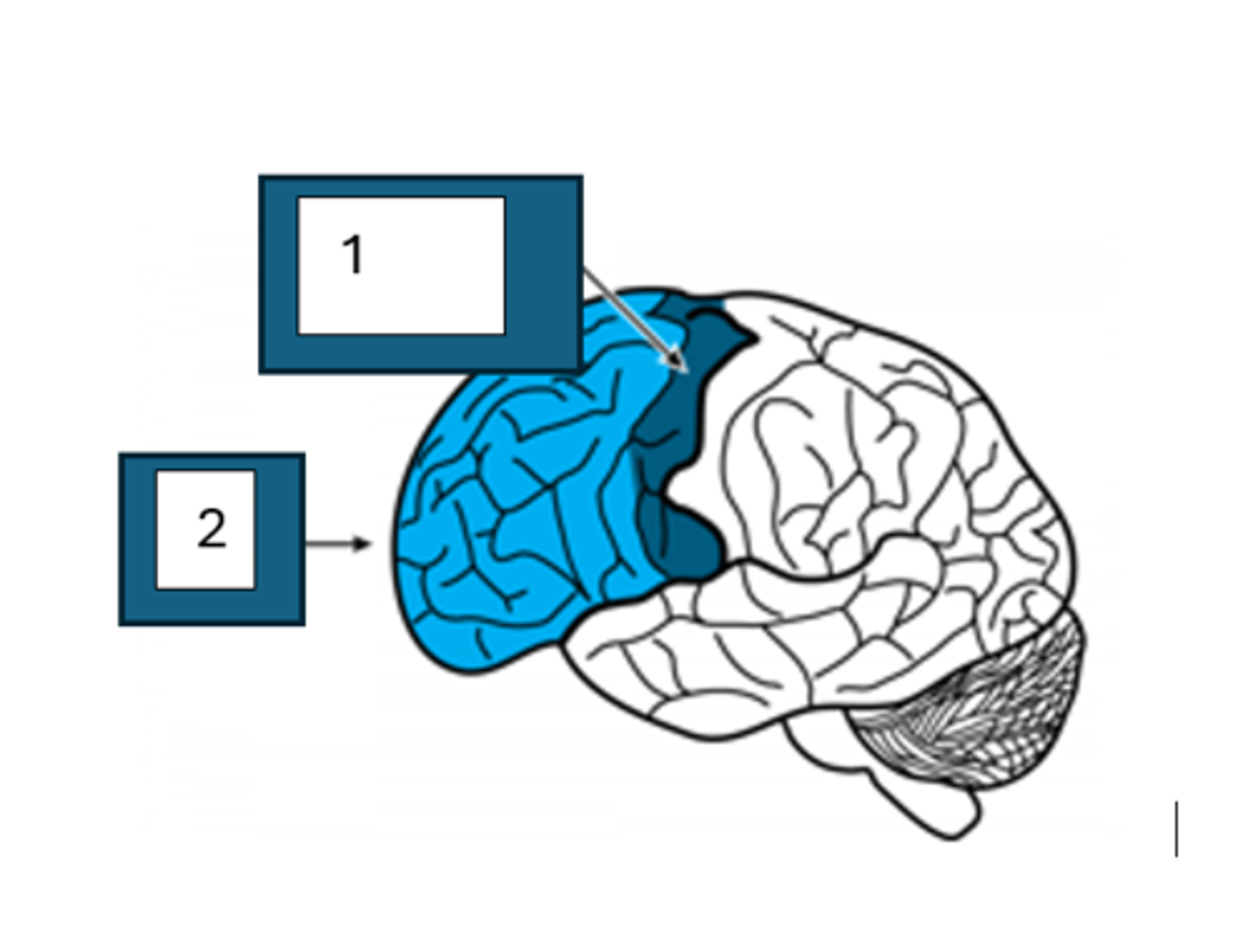 <p>2</p>