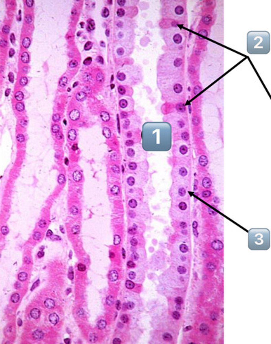 <p>2</p>