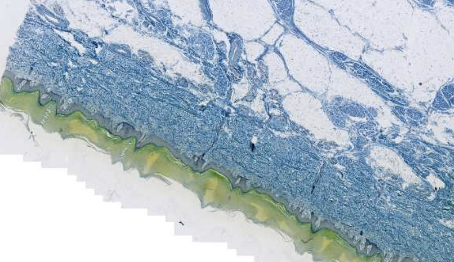 <p>What is this?</p>