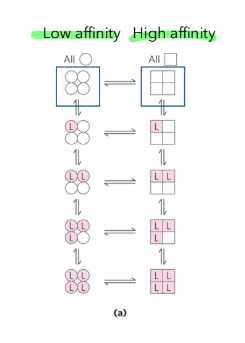 <p>all or nothing </p><p>limitation → treats all subunits equally</p>
