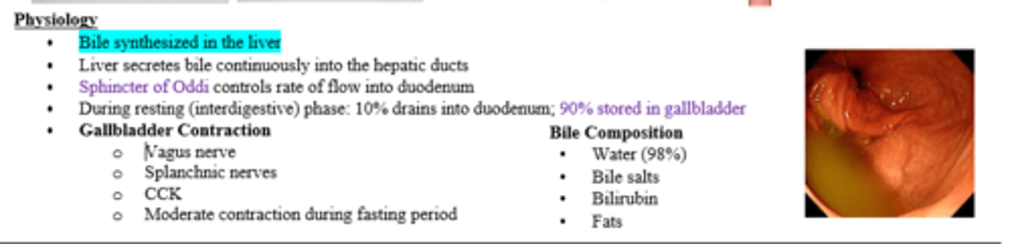 <p>Water (98%), Bile salts, bilirubin, fats</p>