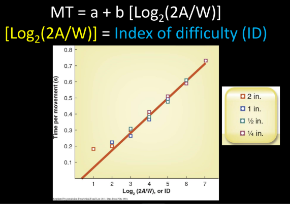 <ul><li><p>Accuracy held constant (all dots in yellow lines) - had participants perform over and over again until they had 100% accuracy</p></li><li><p>Independent variables (changes): Amplitude (A) and</p></li><li><p>Width (W)</p></li><li><p>Dependent variable (what they measured): Movement time (MT) - how long it took you to move between targets</p></li><li><p>MT ~ A/W - Large amplitude movements to wide targets take the same time as small amplitude movements to narrow targets</p></li><li><p>to get a linear relationship - MT = a + b [Log2 (2A/W)] </p></li><li><p>[Log2 (2A/W)] = Index of difficulty (ID) *note this is the equation of a line = linear</p></li></ul><p>...so MT is linearly related to ID</p><p></p>