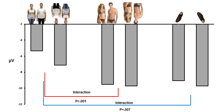 <p>Bernard et al (2018)</p>