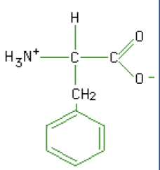 <p>What macromolecule is this?</p>