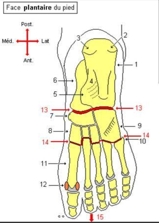 <p>10</p>