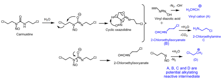 <p>- <strong>Unstable compounds that decompose readily in the aqueous environment of the cell to produce highly reactive carbocations, which alkylate DNA</strong>.</p>