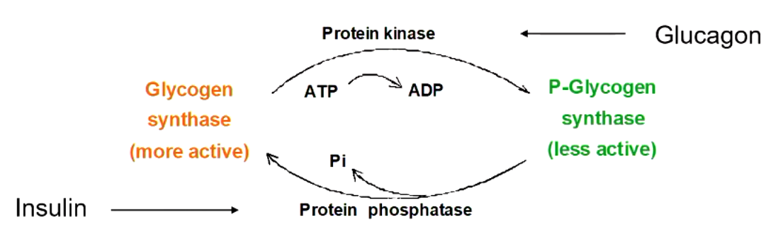 <p>explain what this figure means</p>