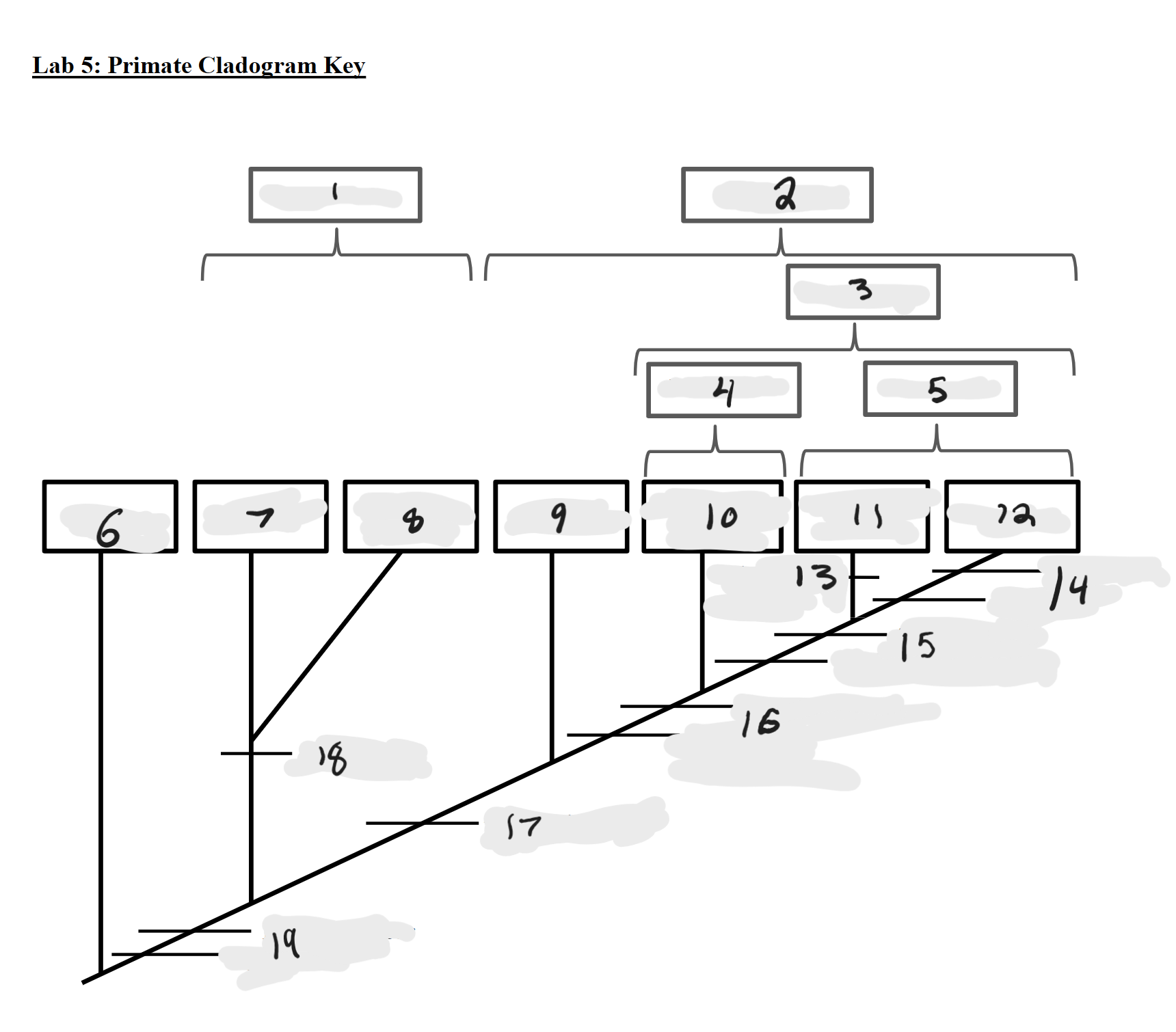 <p>12</p>