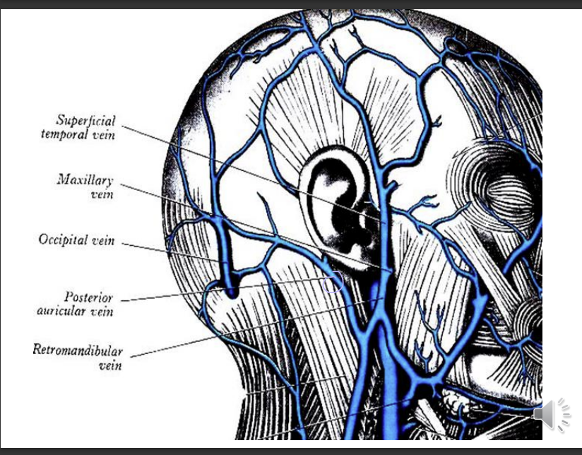 <p>formed by superficial temporal vein and maxillary vein</p><p>passes through the parotid gland</p><p>anterior - join the facial vein</p><p>posterior it joins the posterior auricular vein</p>