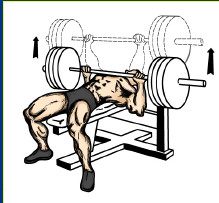 <p>What is Eccentric Contraction? Where does it Occur?</p>