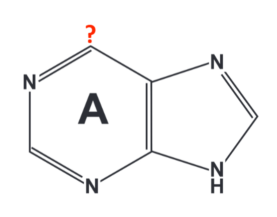 <p>What is missing? </p>