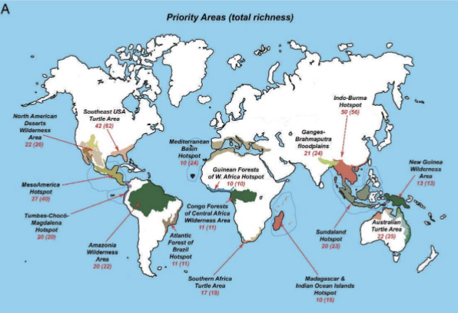 <p>Distribution: Equatorial</p><p>Hotspots: New Guinea, Amazon, Congo</p>