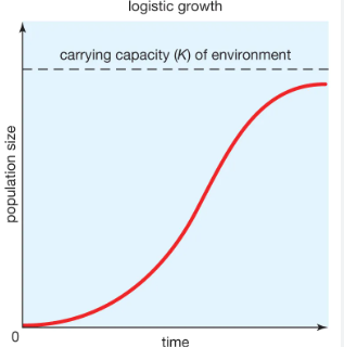 <p>carrying capacity&nbsp;(k)</p>