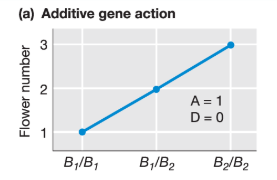 <p>What is the additive effect for this trait?</p>