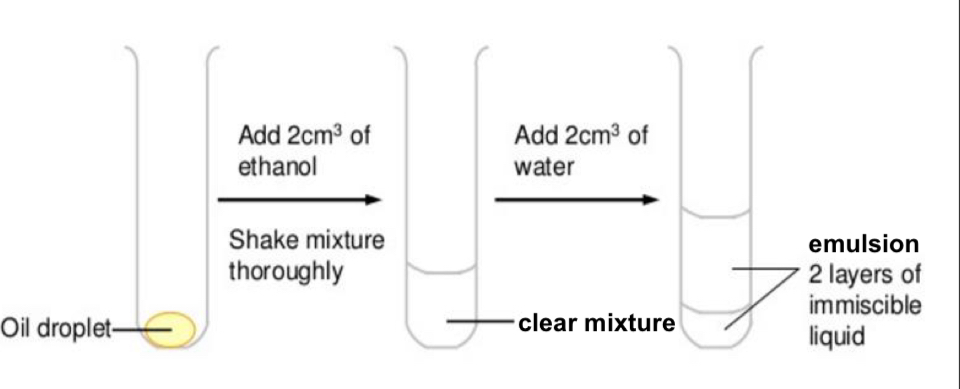 <p>Principle: lipids are <u>soluble in organic solvents </u>such as ethanol, but <u>not in water</u>, with which they form emulsions on vigorous shaking </p><p></p><p>Method: </p><ul><li><p>add 2cm3 of absolute ethanol to sample and mix well </p></li><li><p>decant the ethanol into another test tube containing an equal volume of water </p></li></ul><p></p><ul><li><p>if <u>lipid is present</u>, <u>dissolves in ethanol</u> to form a <u>clear</u> solution, which then forms an <u>emulsion</u> with water </p></li><li><p>if lipid is absent, a clear solution is still formed with ethanol, which remains clear when added to water </p></li></ul><p></p>