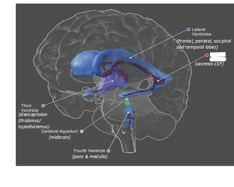 <p>what is this?</p>