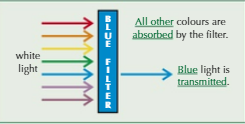 <p>Only transmit certain wavelengths and absorbs rest</p>