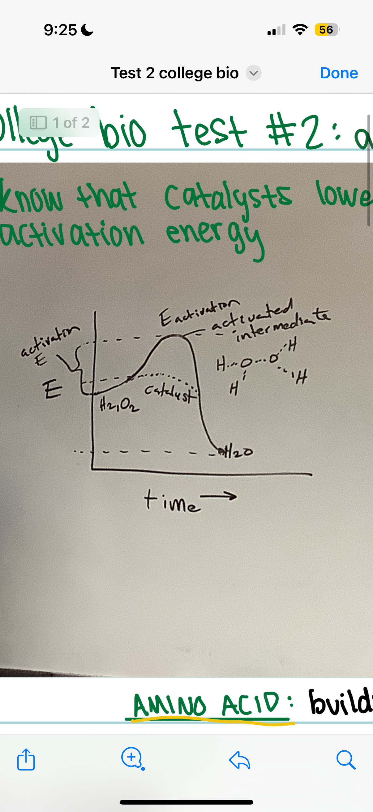 <p>lower the activation energy</p>