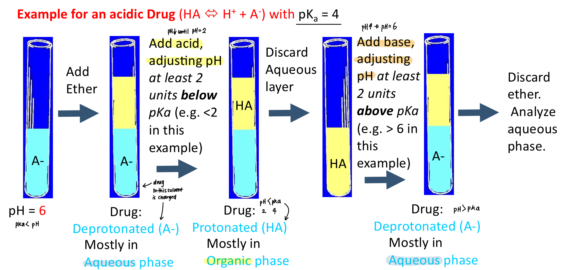 <ol><li><p>make compound neutral for extraction into an organic solvent —> adding acid makes drug protonated</p></li><li><p>then make the compound ionized to back extract into aqueous—> adding base makes. drug deprotonated </p></li><li><p>e.g. drug pka is 4</p><ol><li><p>pKa>pH: HA</p></li><li><p>pKa<pH: A-</p></li></ol></li></ol><p></p>