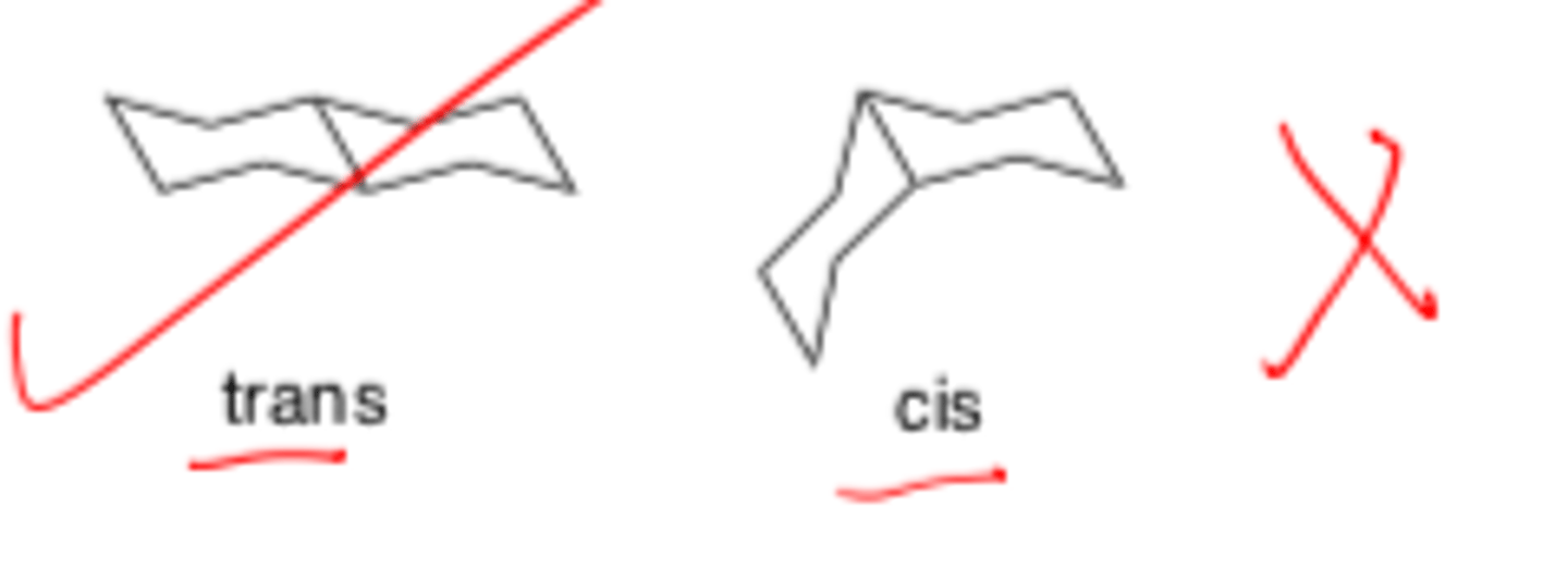 <p>- (cannot be) cis</p><p>- (must be) trans</p>