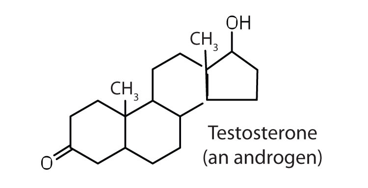 <p>A type of lipid characterized by a carbon skeleton consisting of four fused rings. Ex: Cholesterol (in cell membranes) and sex hormones (testosterone, estrogen).</p>