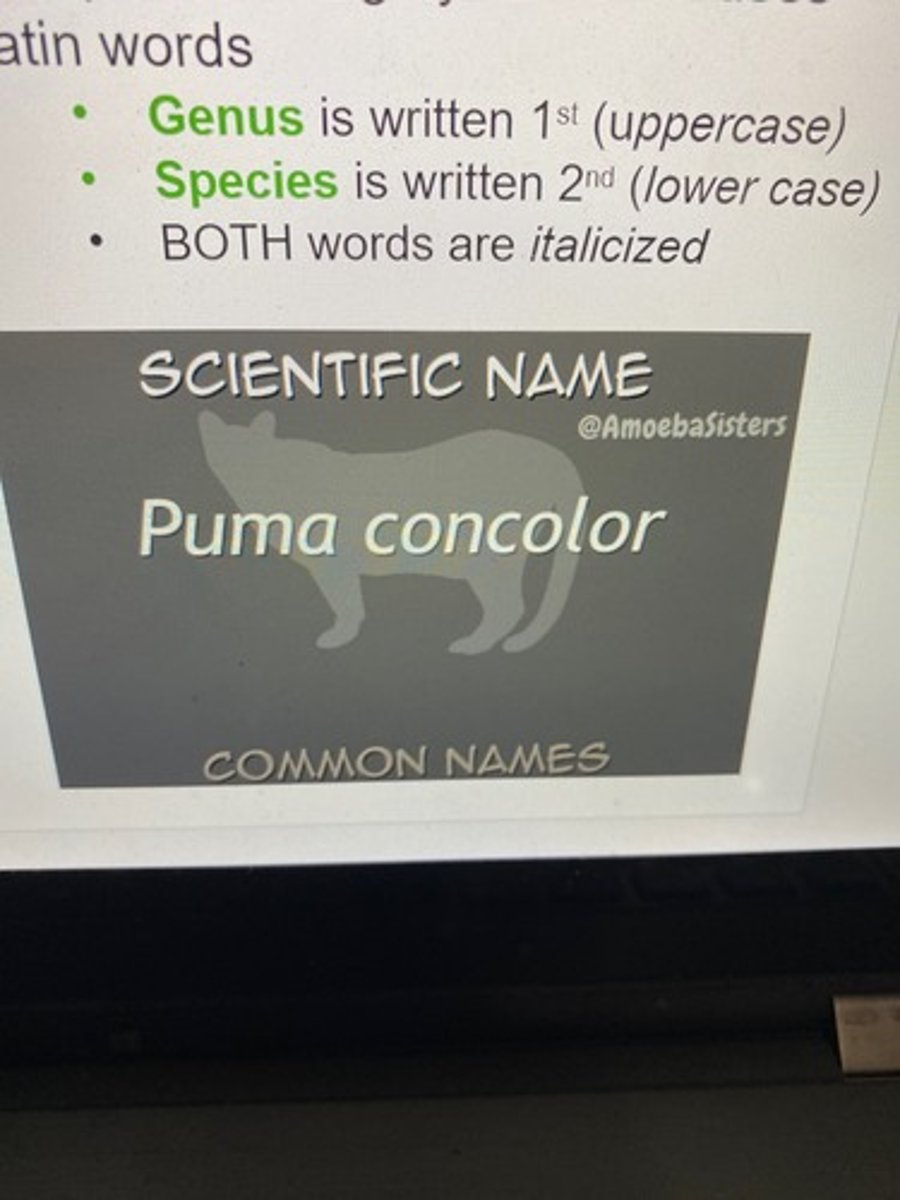 <p>UNDERLINE BOTH</p>