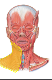 <p>What is this?</p>