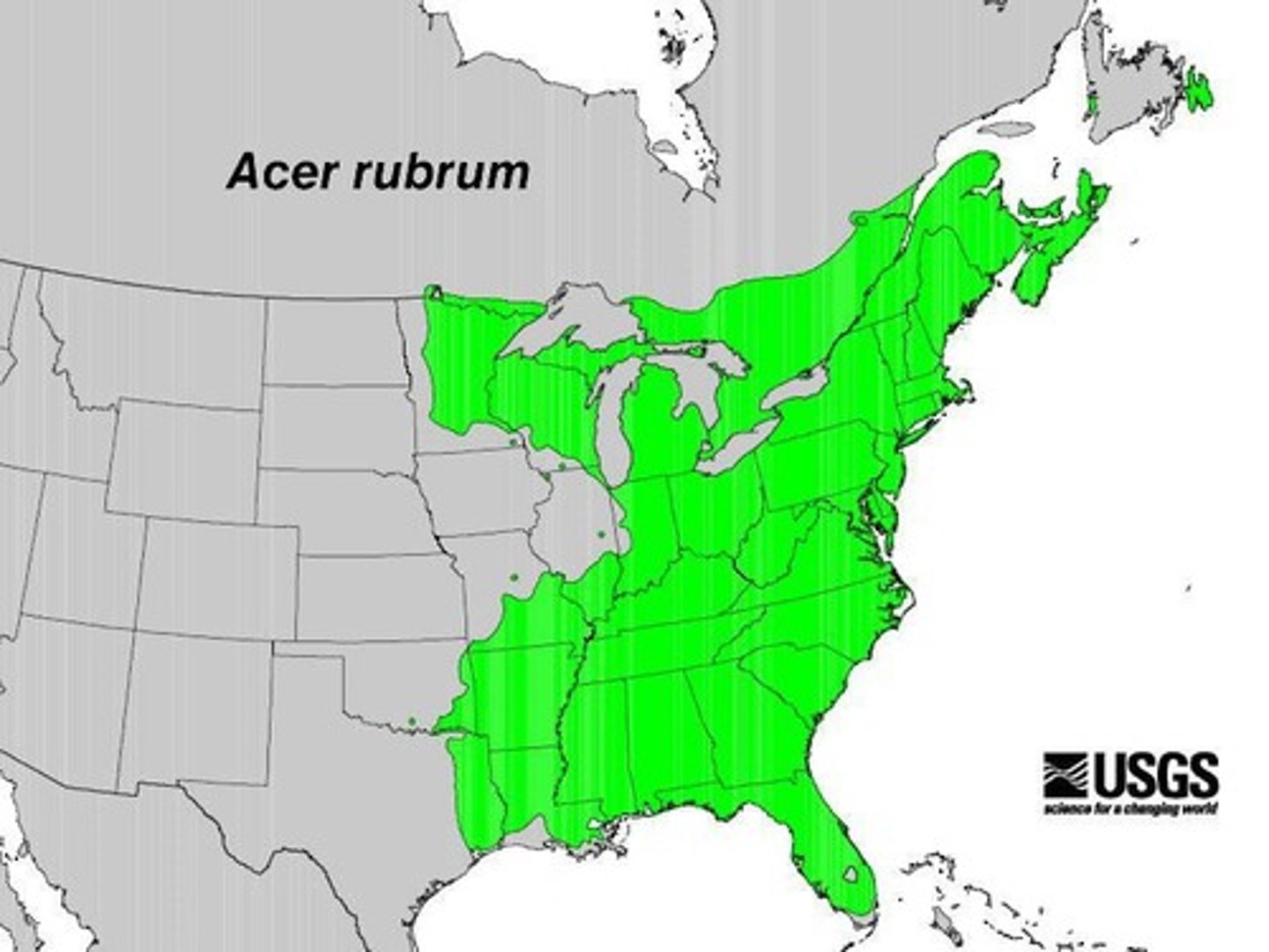 <p>Northern limit for red maple at -40°C.</p>