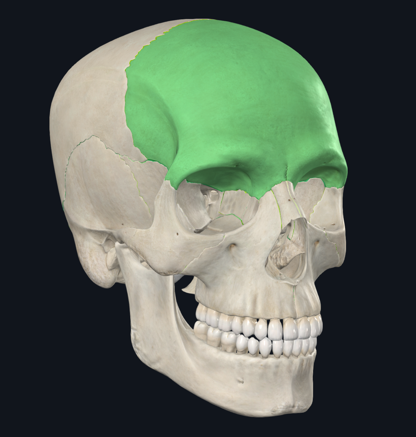 knowt flashcard image