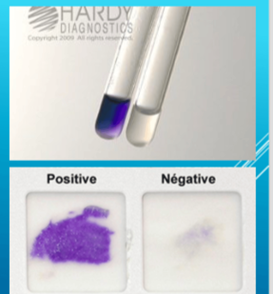 <p>chromogenic reducing agent</p>