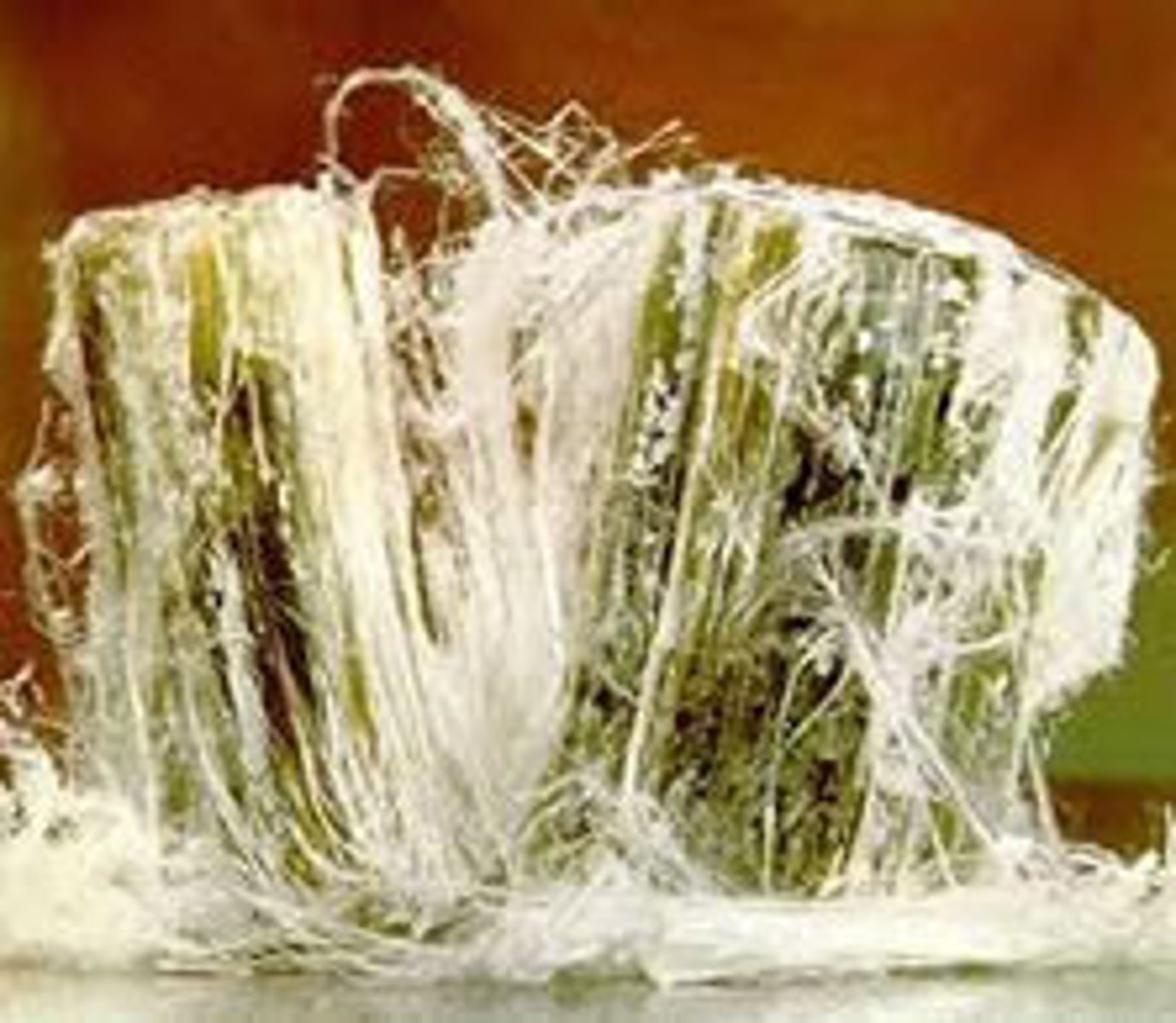 <p>Small strong flexible fibers (asbestos)</p>
