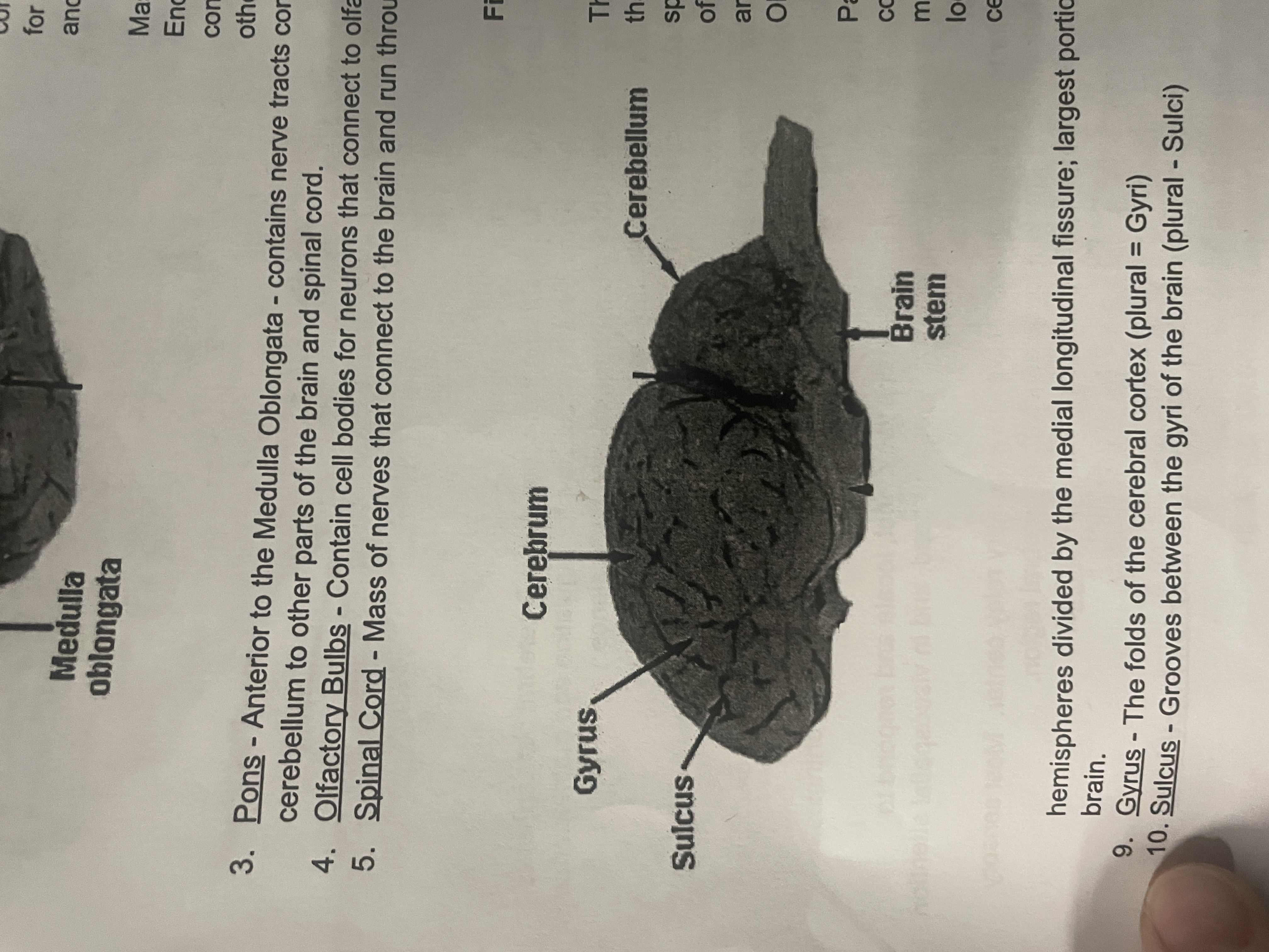 knowt flashcard image
