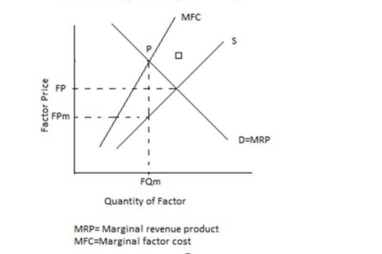 A type of imperfect competition in a factor market. There is only one firm hiring workers and the firm is large enough to manipulate market. Workers are relatively immobile and the firm is the wage maker. To hire additional workers they must increase wage. 